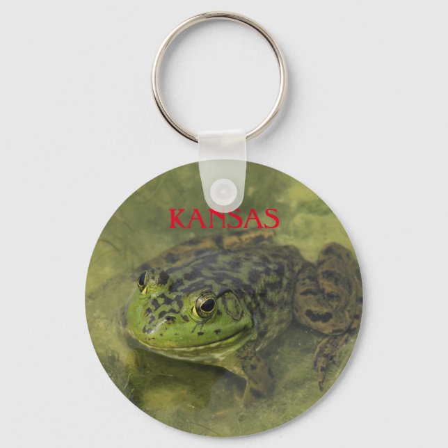 Porte-clés Grenouille taureau du Kansas (Recto)
