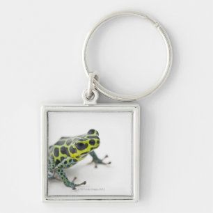 Porte-clés Grenouille verte de dard de poison repérée par