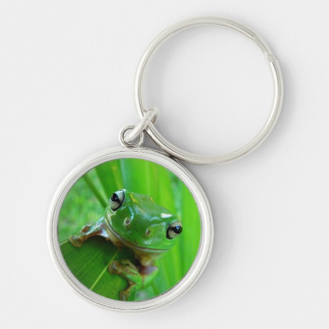 Porte-clés Grenouille verte sur Porte - clé feuille (Devant)