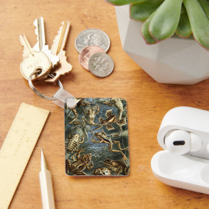 Porte-clés Grenouilles et crapauds vintage Batrachia par Erns