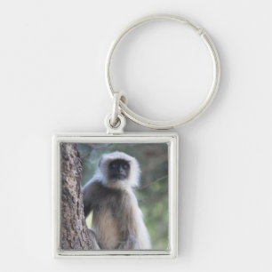 Porte-clés Gris ou terrain communal ou langur de Hanuman