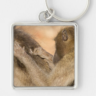 Porte-clés Grooming baboons