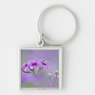 Porte-clés Gros plan sur Phlox de Drummond, Phlox drummondi,