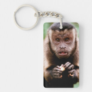 Porte-clés Gros plan sur un singe capucin à tête noire