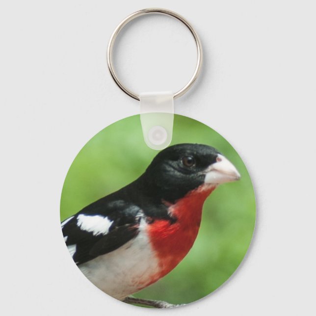 Porte-clés Grosbeak à poitrine rose (Recto)