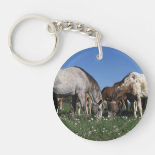 Porte-clés Groupe de pâturage de chevaux d'Appaloosa