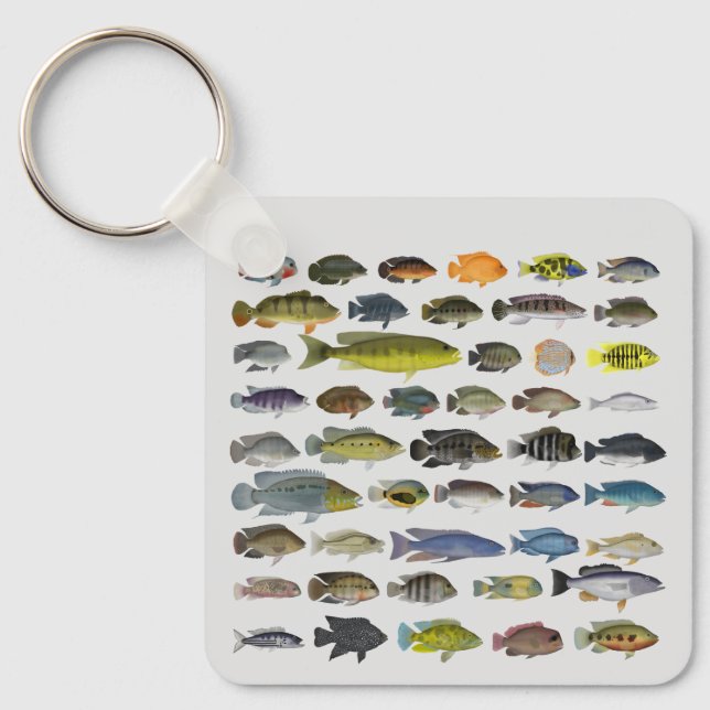 Porte-clés Groupe de poissons Cichlid (Recto)