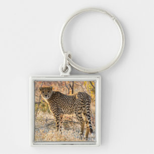 Porte-clés Guépard regardant autour
