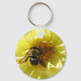 Porte-clés GV- Abee occupée