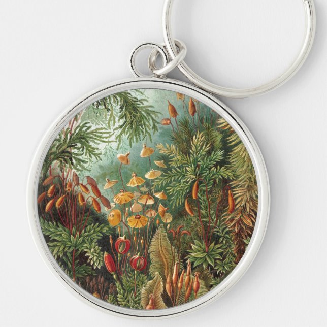 Porte-clés Haeckel (Devant)