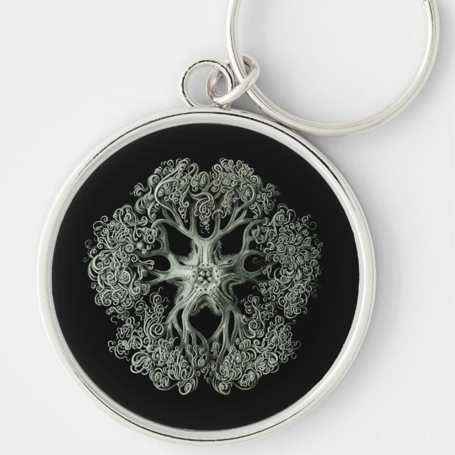 Porte-clés Haeckel Négatif (Devant)