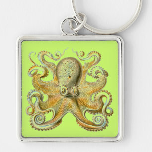 Porte-clés Haeckel Octopus