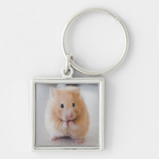 Porte-clés hamster