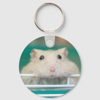 Porte-clés Hamster : Mendier pour attirer l'attention