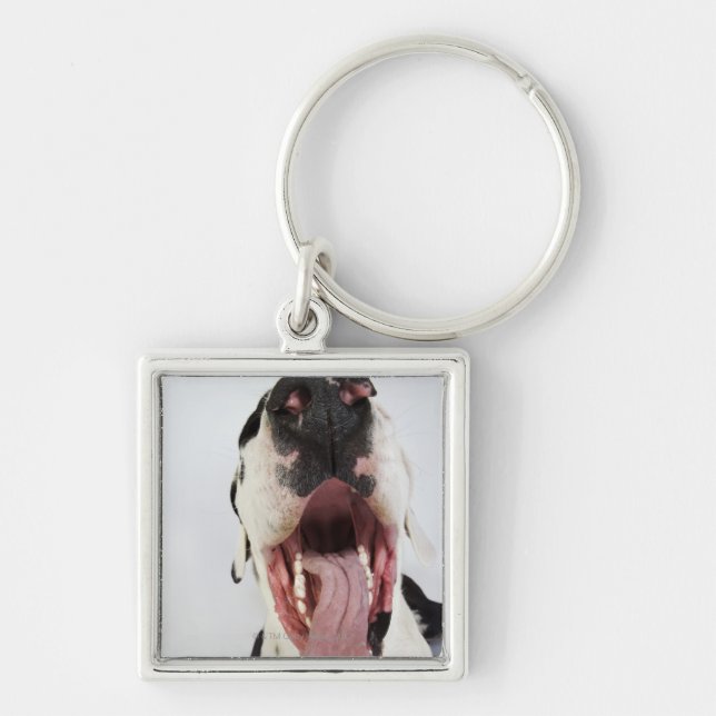 Porte-clés Harlequin great dane avec la bouche ouverte, plan (Devant)