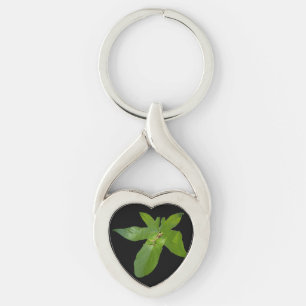 Porte-clés "Havre de feuilles : une petite grenouille verte s