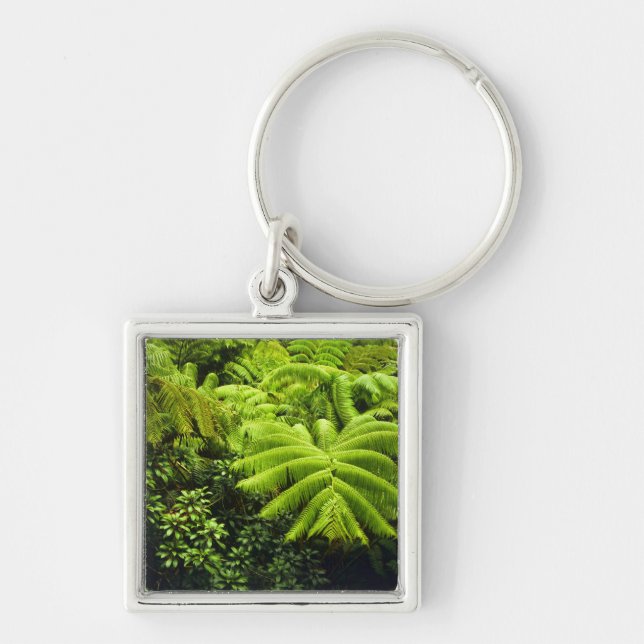 Porte-clés Hawaii, Grande Île, Verdure tropicale luxuriante e (Devant)