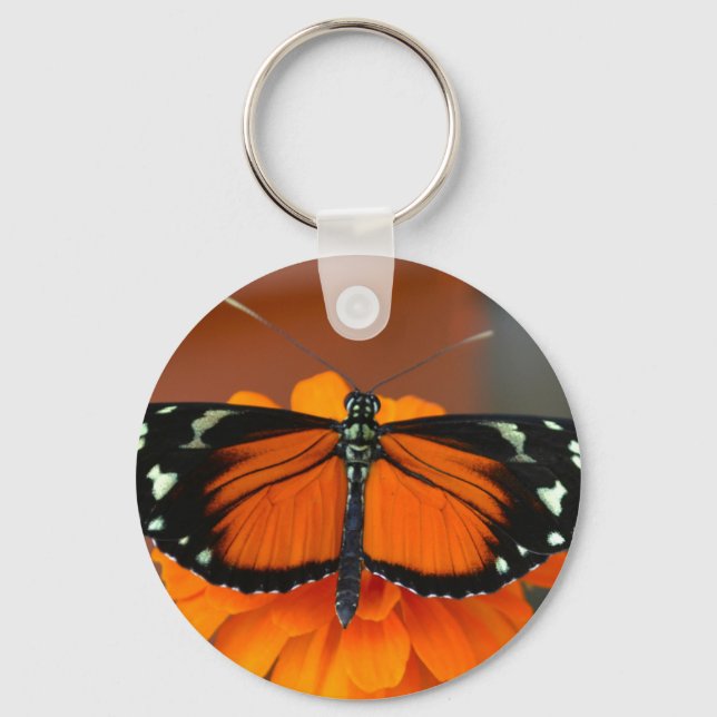 Porte-clés Hecale Longwing Butterfly (Recto)