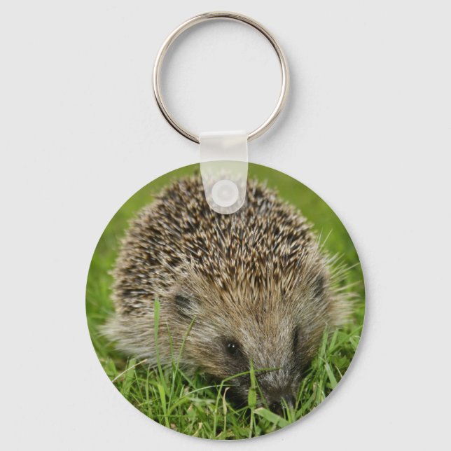 Porte-clés Hedgehog Key Chain (Recto)