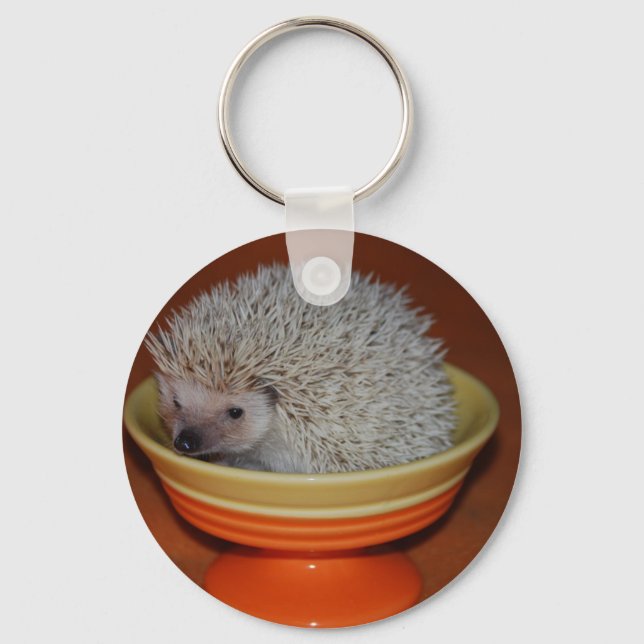 Porte-clés Hedgehog Sundae (Recto)