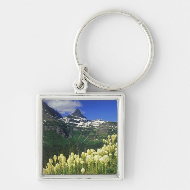 Porte-clés Herbe d'ours à Logan Pass dans le parc national de (Devant)