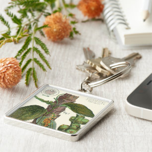 Porte-clés Herbes alimentaires vintages épices, poivre noir P