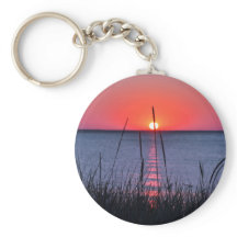 Herbes de la lumière du soir