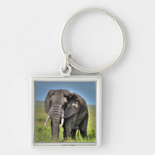 Porte-clés Herbes d'éléphant africain et de savane