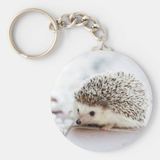 Porte Cles Herisson Mignon Zazzle Fr