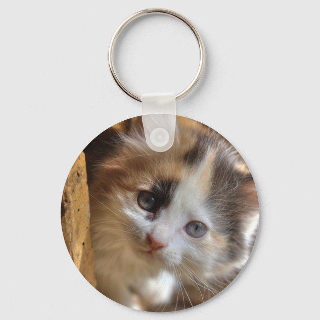 Porte-clés Heterochromie Calico Kitten (Recto)