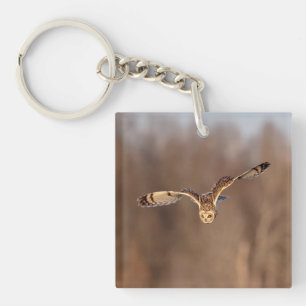 Porte-clés Hibou à oreilles courtes plongeant vers le sol