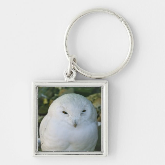 Porte-clés Hibou des neiges (Devant)