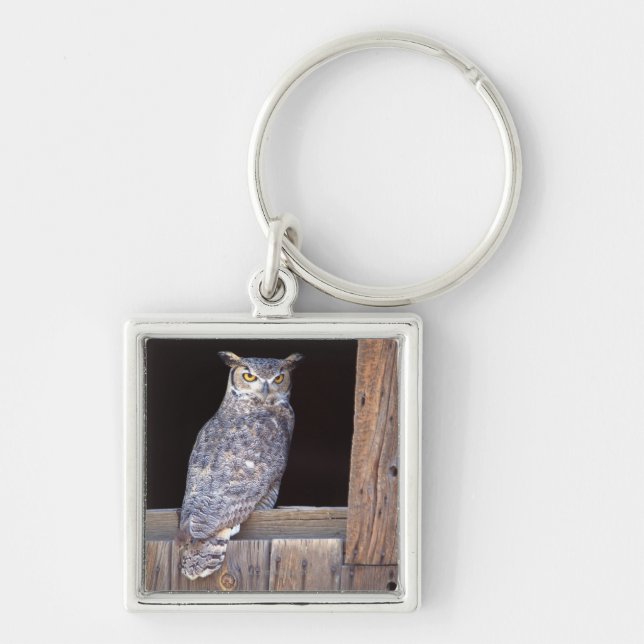 Porte-clés Hibou été perché dans une fenêtre (Devant)