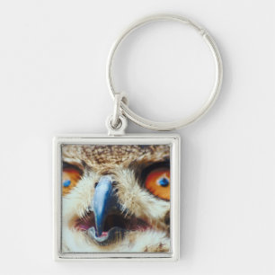 Porte-clés Hibou observé par orange
