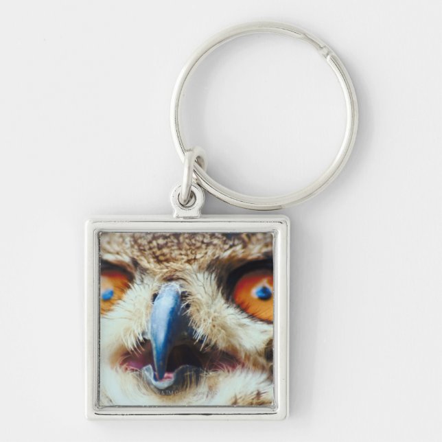 Porte-clés Hibou observé par orange (Devant)