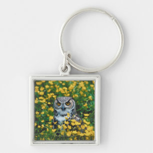 Porte-clés Hibou observé par orange dans le pré des fleurs