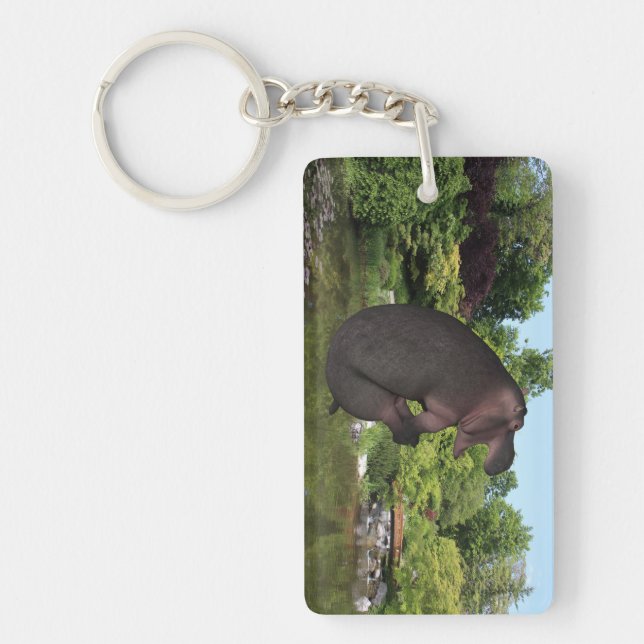 Porte-clés Hippo de canonball (Devant)