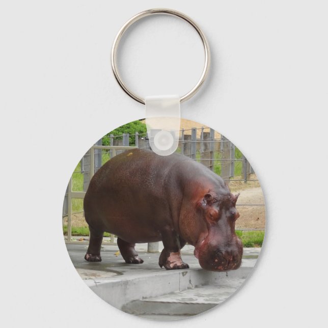 Porte-clés Hippopotamus #2 Keychain (Recto)