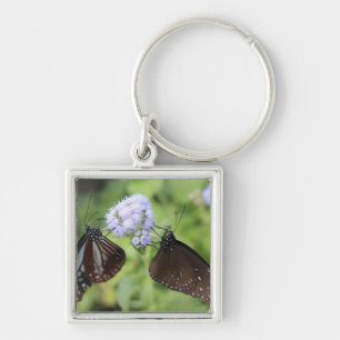 Porte-clés Hodokubo, Hino, Tokyo, Japon 3