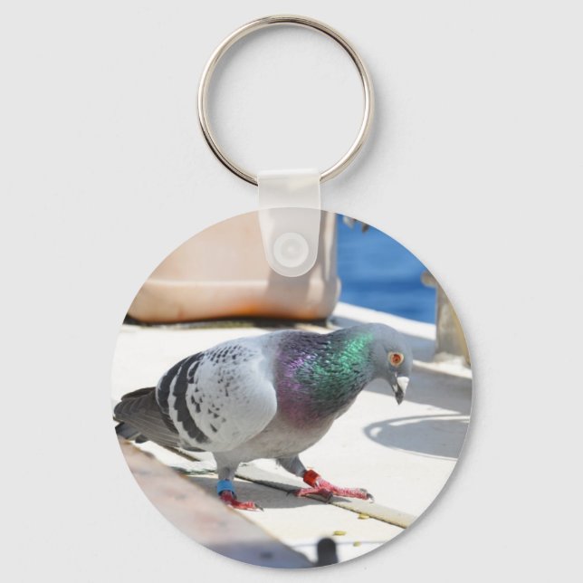 Porte-clés Hommage Pigeon Sur Un Yacht (Recto)