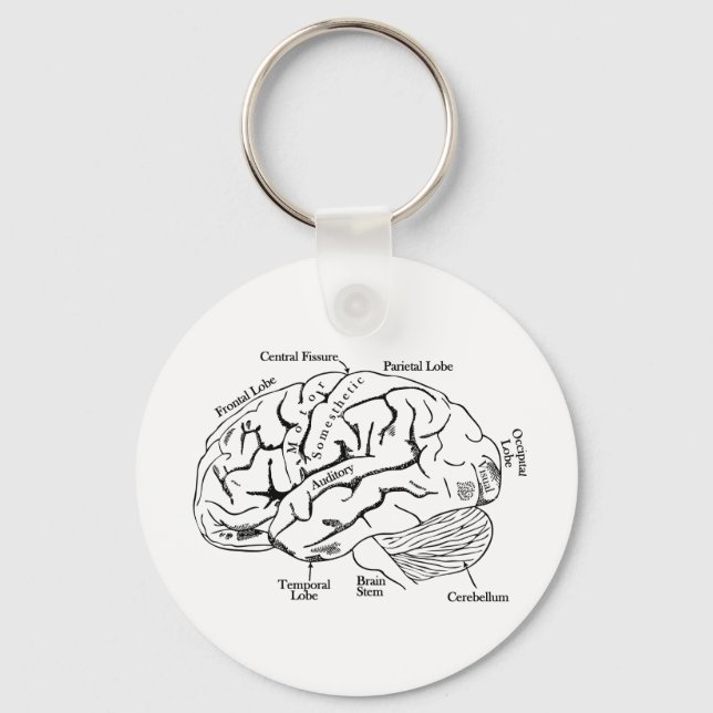 Porte-clés Human Brain (Recto)