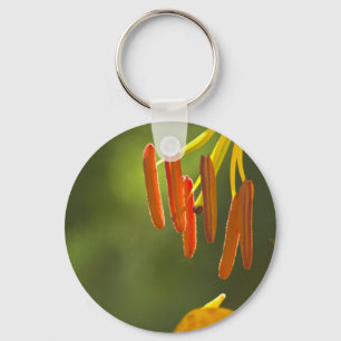 Porte-clés Humboldt Lily Stamens