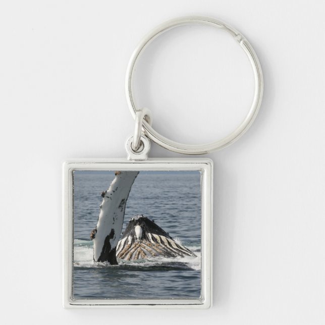 Porte-clés Humpback Whale (Devant)