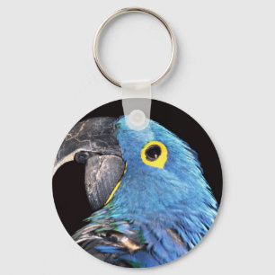 Porte-clés Hyacinth Macaw