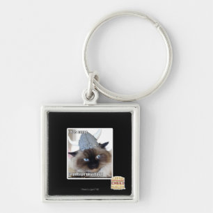 Porte-clés I est venu pour piller le village d'ur