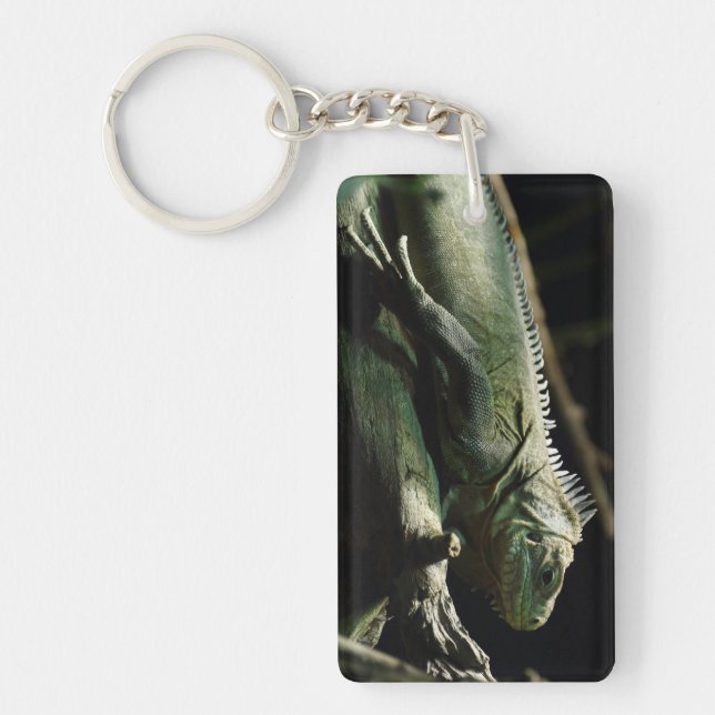 Porte-clés Iguana délicatissima (Devant)