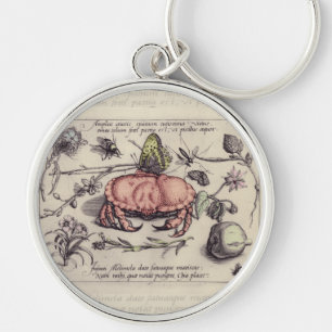 Porte-clés Illustration de fleur d'insecte botanique de crabe