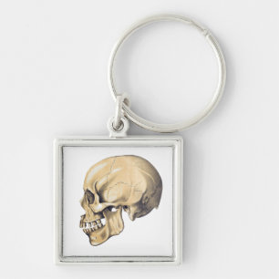 Porte-clés Illustration de l'anatomie crânienne vintage