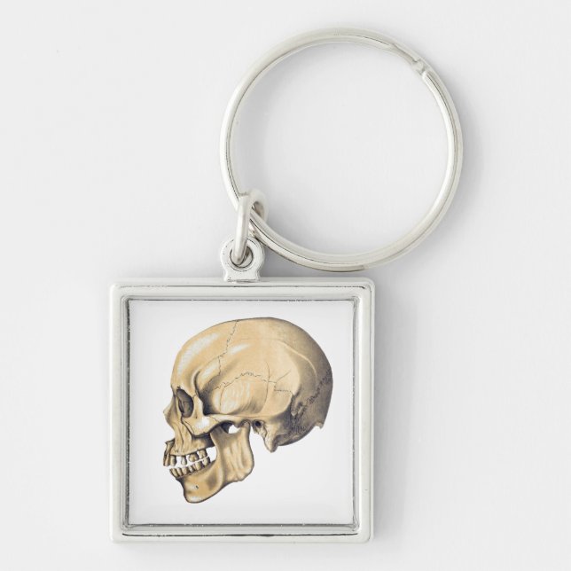 Porte-clés Illustration de l'anatomie crânienne vintage (Devant)