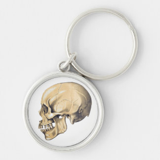 Porte-clés Illustration de l'anatomie crânienne vintage